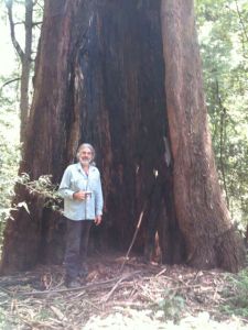 Armin at his big tree