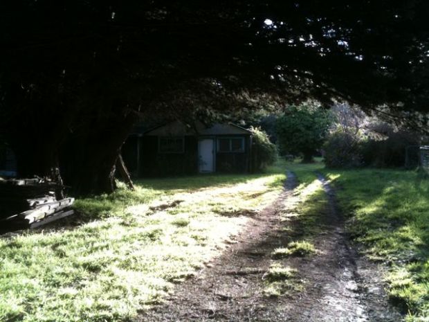 Little shack Red Hill