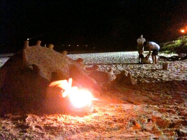 Sand dragon Byron Nov 2011