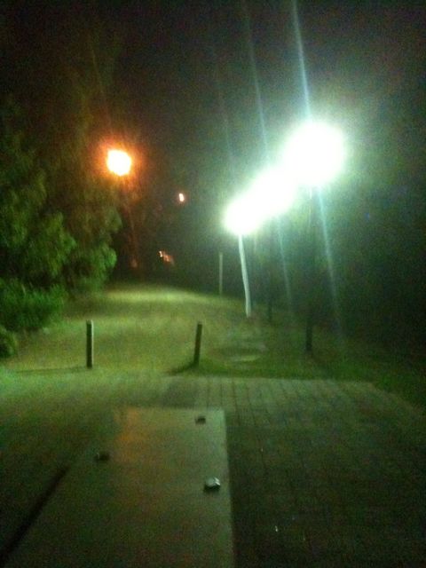 McClelland Gallery 2012