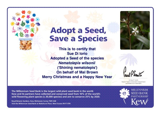 adopt-a-seed-Sue-Di-Iorio-2010