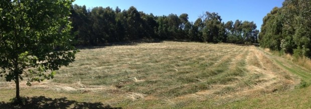 Hay cut at Nyora dec 2012