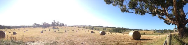 Nyora December 2014 Henry's Road