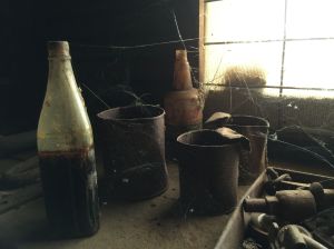 Terricks inside my shed Feb 2015